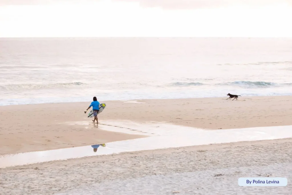 Surfer and dog walking along Caloundra Beach at sunrise, calm surf and reflections on wet sand, Sunshine Coast QLD.