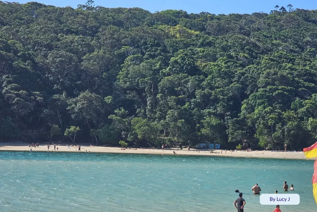 Swimmers enjoying the calm, crystal-clear waters of Tallebudgera Creek bordered by lush rainforest near Burleigh Head National Park, Gold Coast, Queensland