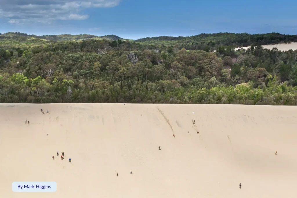 Visitors enjoying sand tobogganing down the giant dunes near Tangalooma on Moreton Island, Queensland, surrounded by coastal forest and blue skies