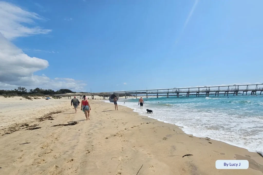 Surfer and dog walker enjoying the golden sand near the rock wall at The Spit, a popular surf and off-leash beach on the Gold Coast, Queensland.