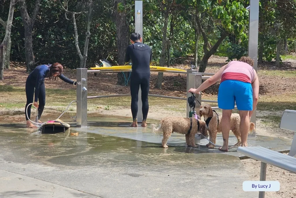 Dog owners using outdoor showers to rinse their pets after a swim at The Spit’s popular off-leash dog beach, Gold Coast, Queensland, Australia