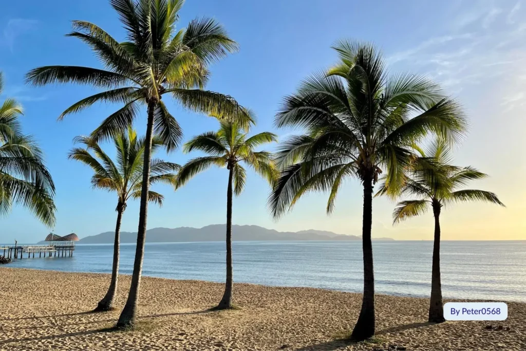 Morning sunlight shining through palm trees on The Strand Beach with views towards Magnetic Island, Townsville, North Queensland.