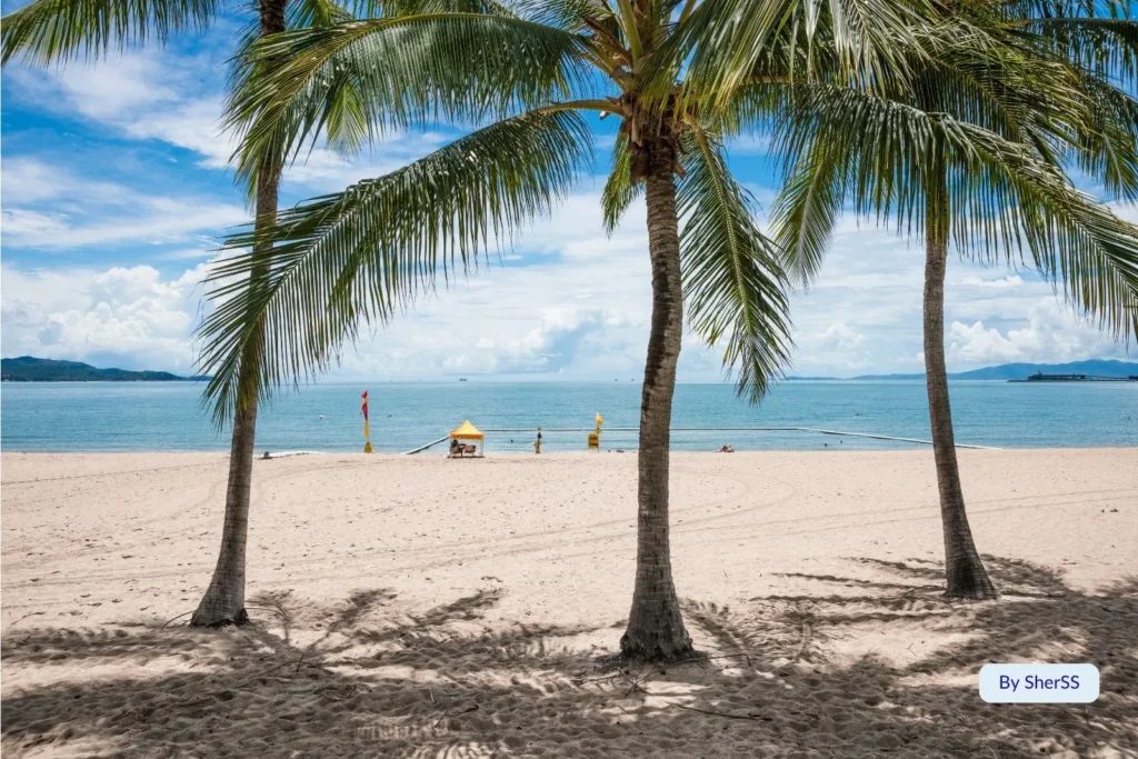 Sandy beach and palm trees at The Strand, Townsville, with lifeguard hut and calm blue ocean under sunny skies.