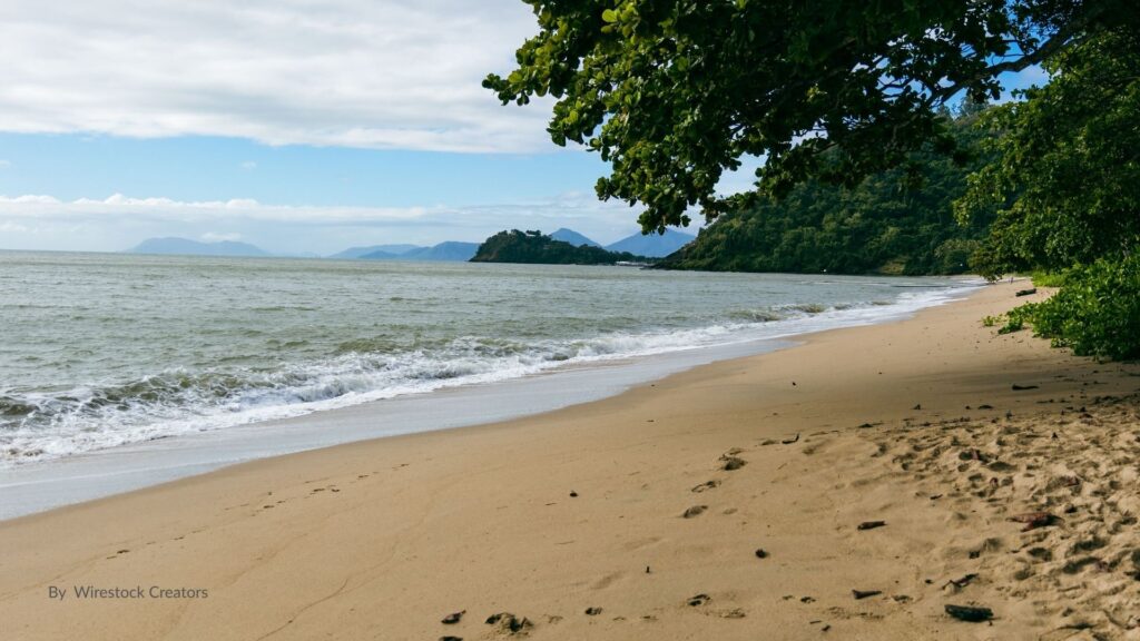 Golden sandy shoreline of Trinity Beach with calm waves and lush green trees framing the foreshore, Cairns Queensland.