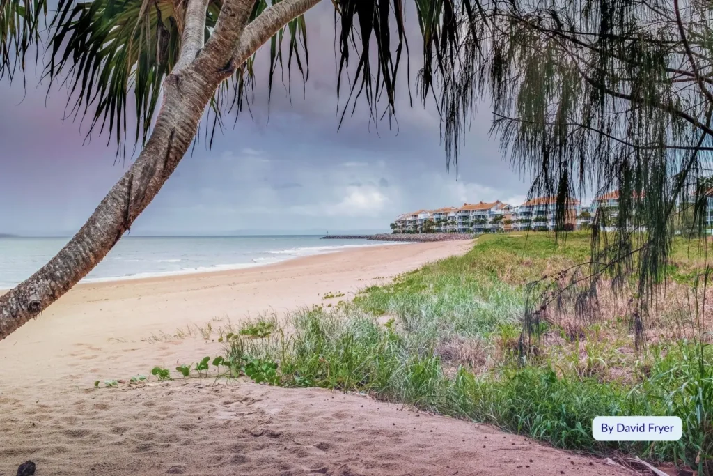 Tropical pandanus trees framing Urangan Beach with soft golden sand and calm blue waters, Hervey Bay, Queensland, Australia.
