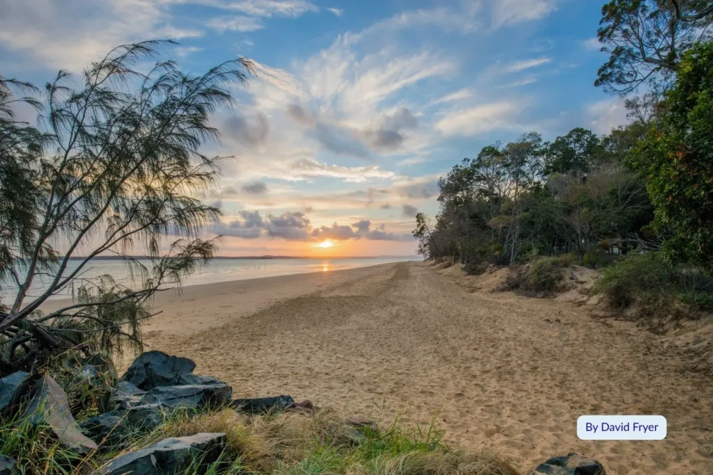 Golden sunrise over Urangan Beach with tranquil waters, coastal trees, and soft sand stretching along Hervey Bay, Queensland, Australia.