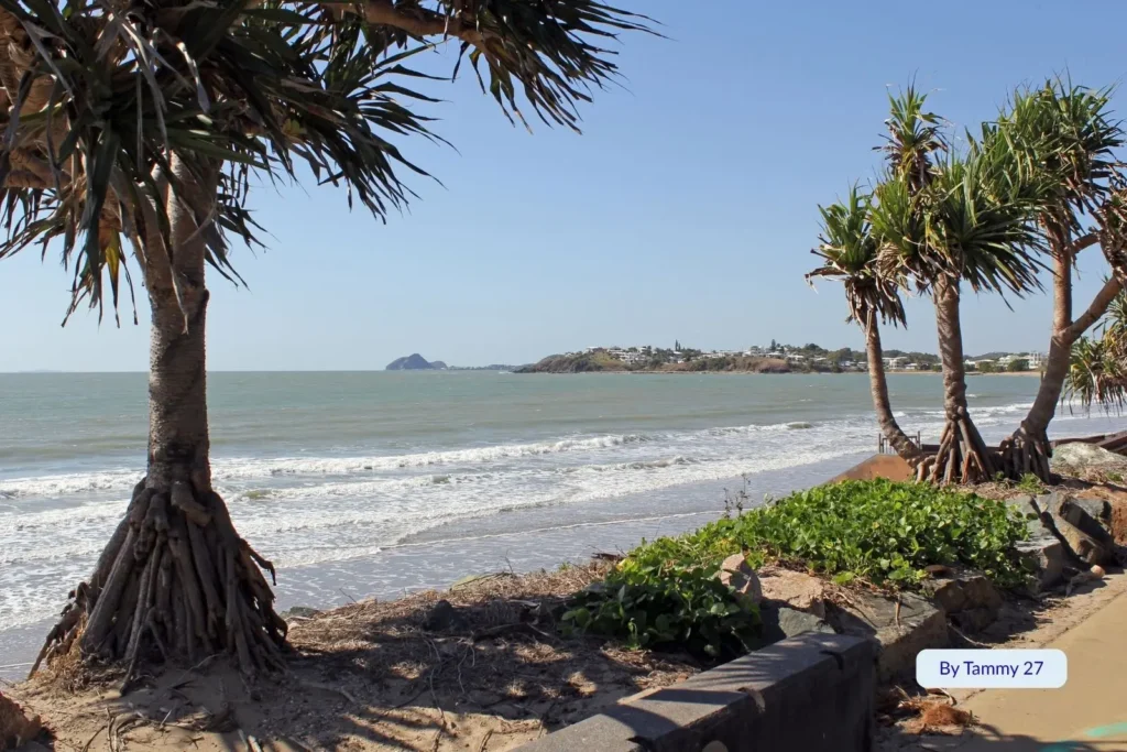Scenic view of Yeppoon Main Beach, Queensland, with pandanus trees framing the coastline and a headland in the distance
