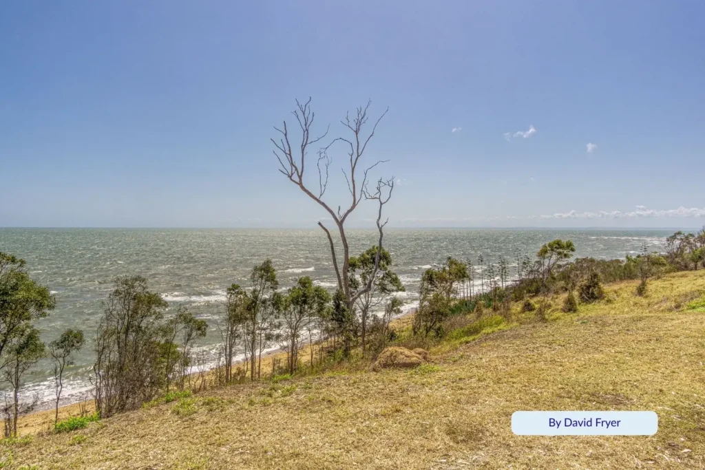Lone tree standing on grassy clifftop overlooking the ocean at Point Vernon, with coastal bushland and calm blue sea, Hervey Bay Queensland.