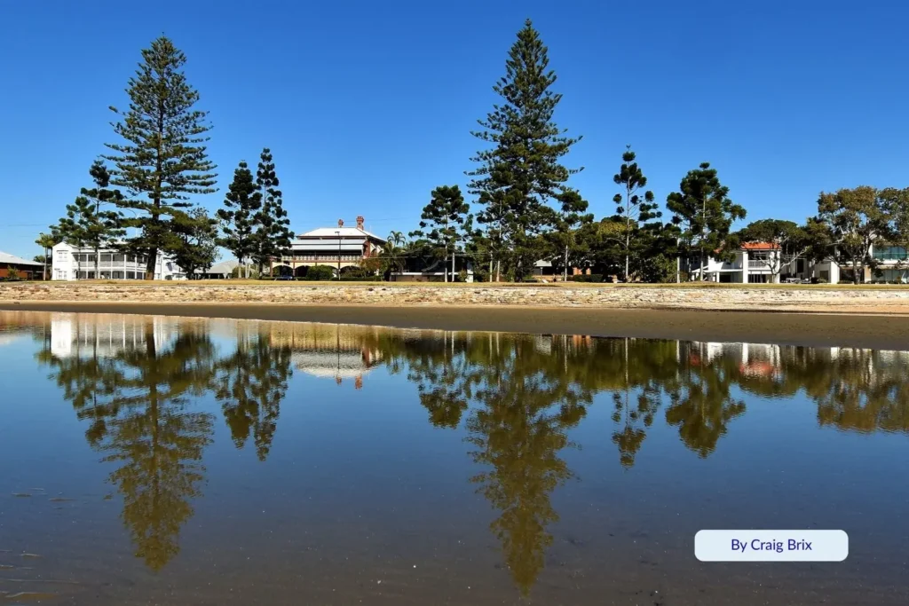 Tall Norfolk pines and houses reflected in the still tidal lagoon along the Sandgate foreshore, Brisbane, Queensland