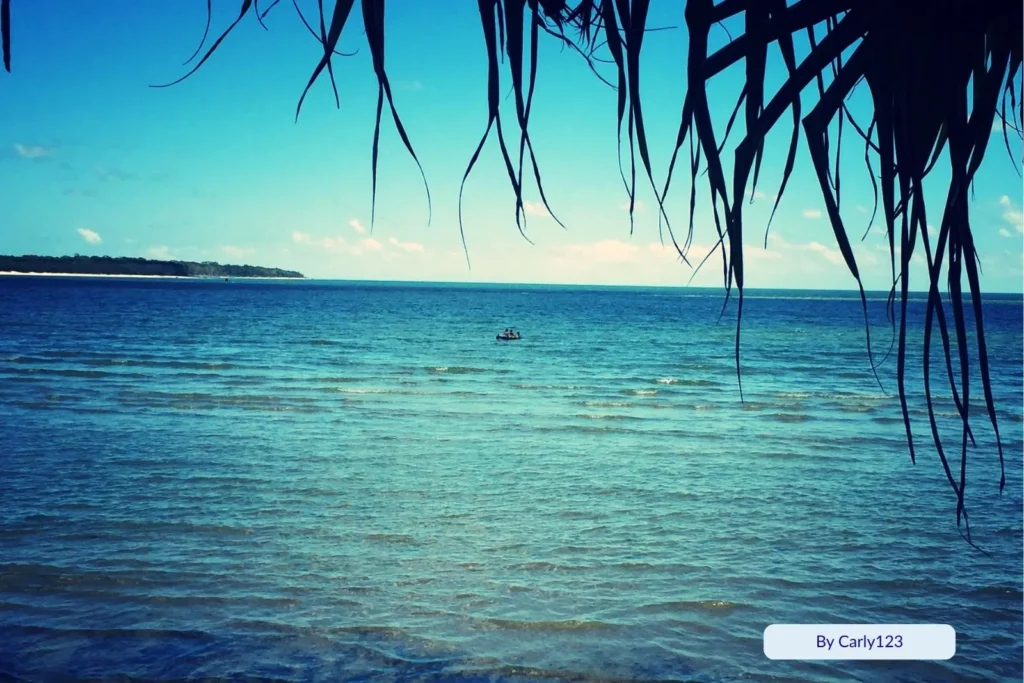 Peaceful ocean view from Toogoom Beach, Hervey Bay, framed by pandanus leaves and showing clear turquoise water under a bright blue sky.
