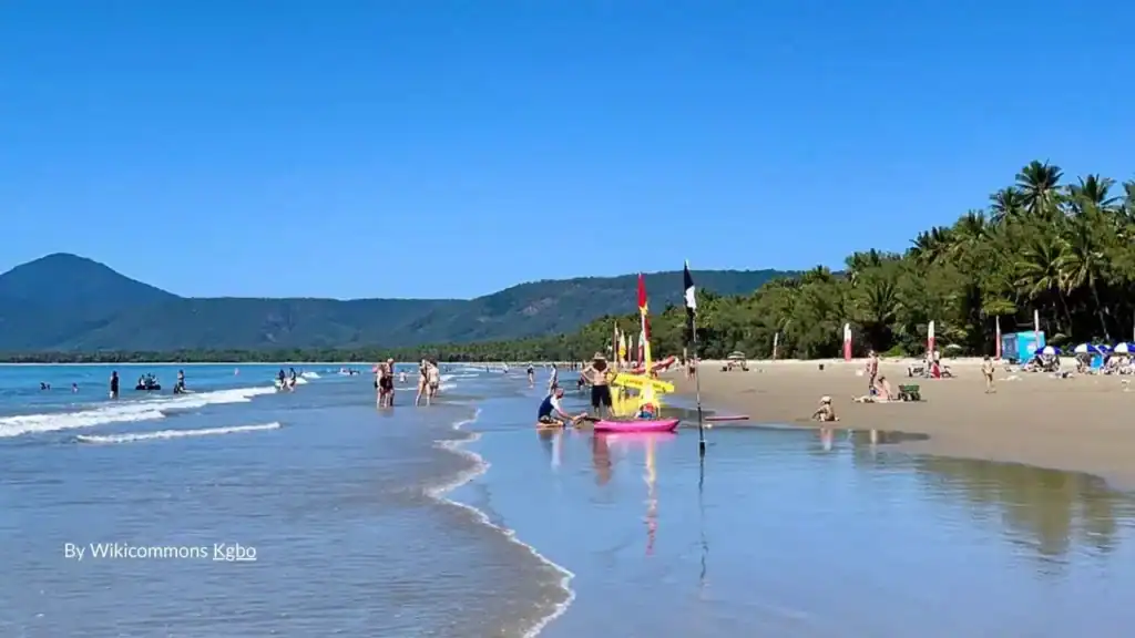 Families enjoying Four mile beach swimming