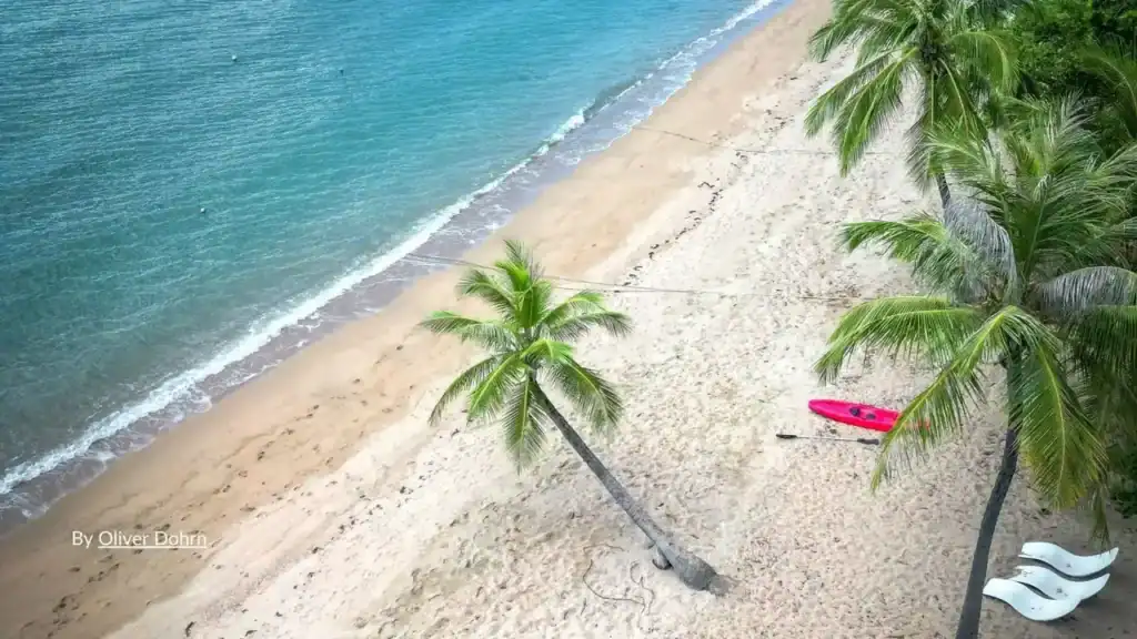 Aerial view of Palm Cove beach with turquoise water, sand and palm trees Cairns