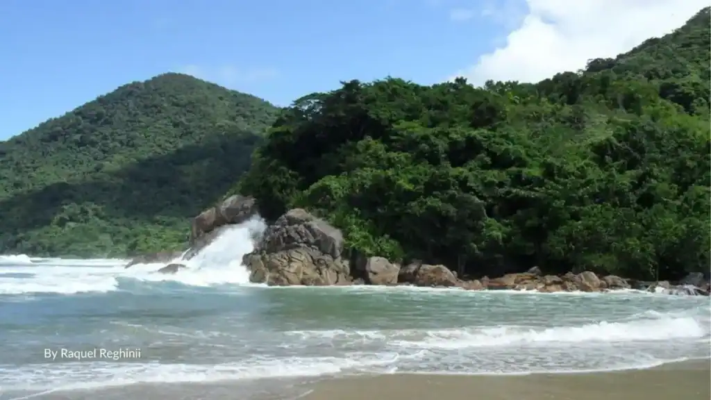 Waves crashing on rocky point with rainforest hills Trinity Beach Queensland