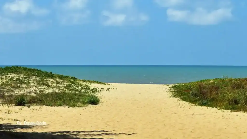Sandy path through dunes to the water at Yorkeys Knob