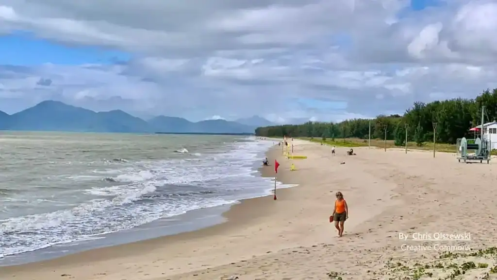 Yorkeys Knob Beach with stinger flags walkers and mountain backdrop