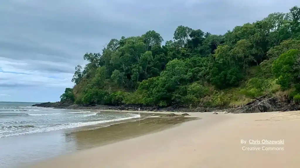 Yorkeys Knob Beach Cairns rainforest headland meeting golden sand