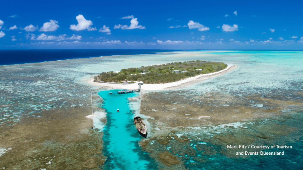 Heron Island diving the HMCS Protector wreck in the harbour channel in Queensland