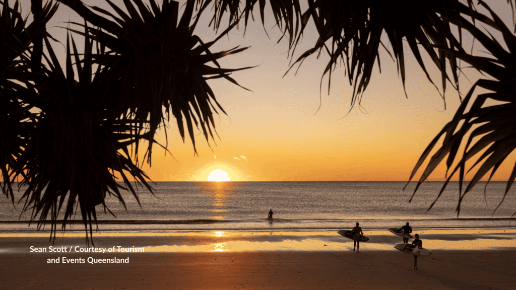 Sunrise and Surfers at Bargara Beach at sunset under the pandanus in Queensland