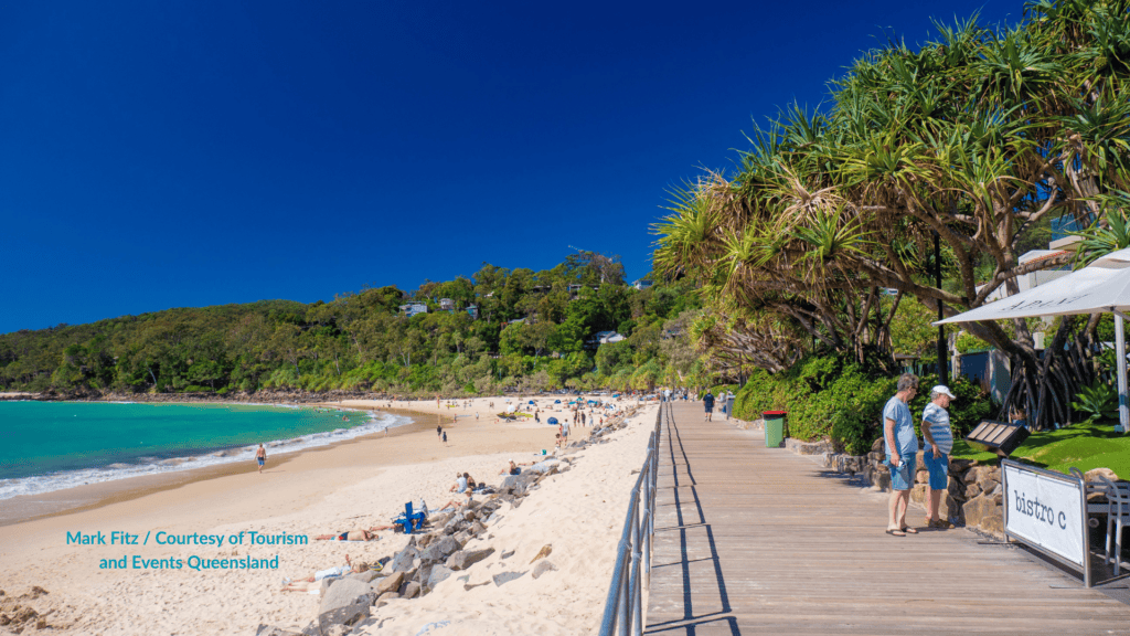 Noosa Heads Main Beach boardwalk with pandanus trees looking along the sand toward the national park headland Queensland