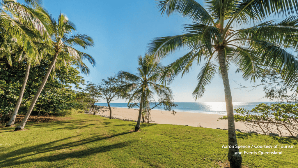 Palm trees and lawn looking through to the sand and blue ocean at Blacks Beach Mackay Queensland under a clear sky