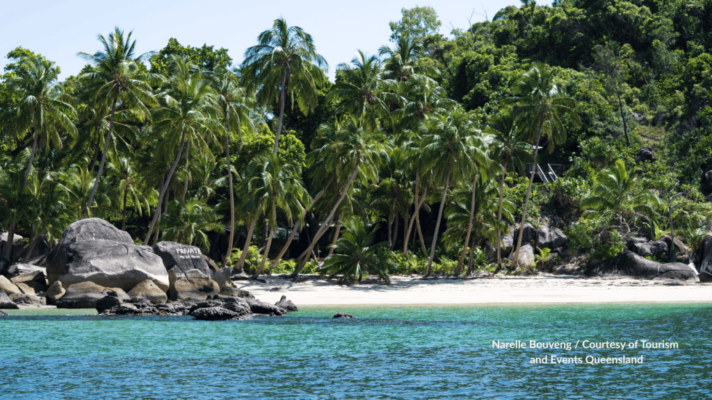 Palm trees lining the white sand beach at East Bedarra Island near Mission Beach Queensland with granite rocks and turquoise water