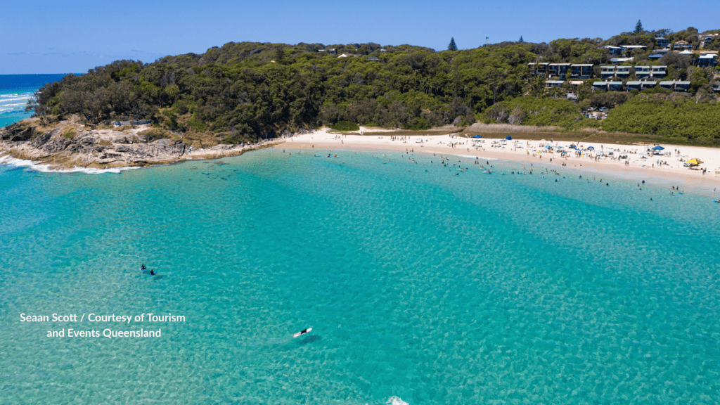 Aerial view of Cylinder Beach Point Lookout with clear water surfers and the sandy cove in Queensland
