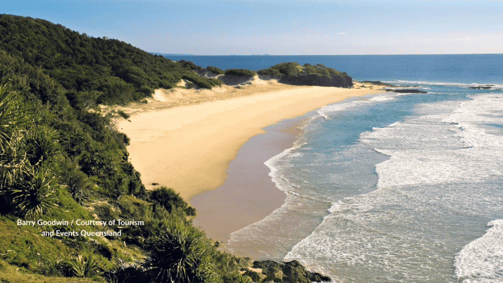 Frenchmans Beach Point Lookout seen from the headland with surf running along the sandy bay in Queensland