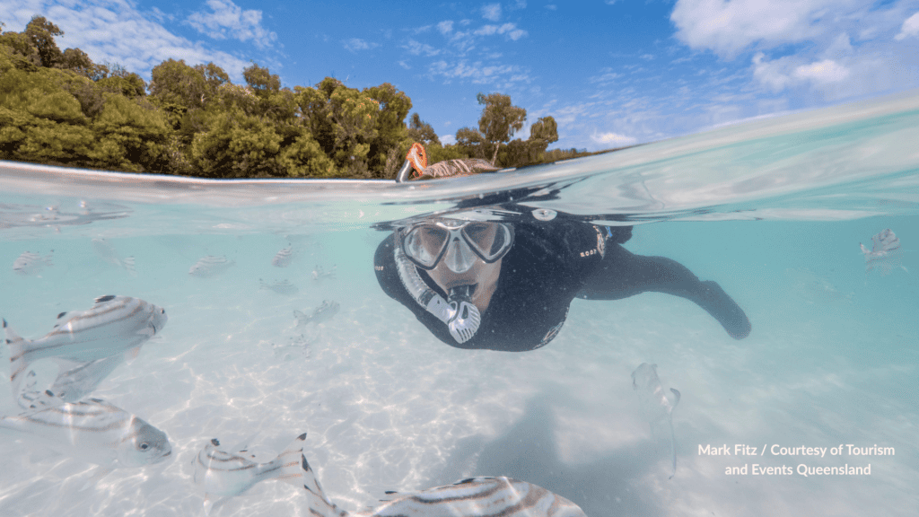 Snorkeler swimming with fish in the clear shallows at Whitehaven Beach on Whitsunday Island Queensland