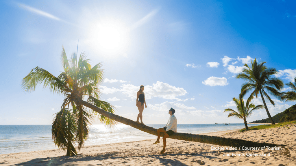 Couple sitting on a leaning palm tree at Tangalooma Beach Moreton Island Queensland