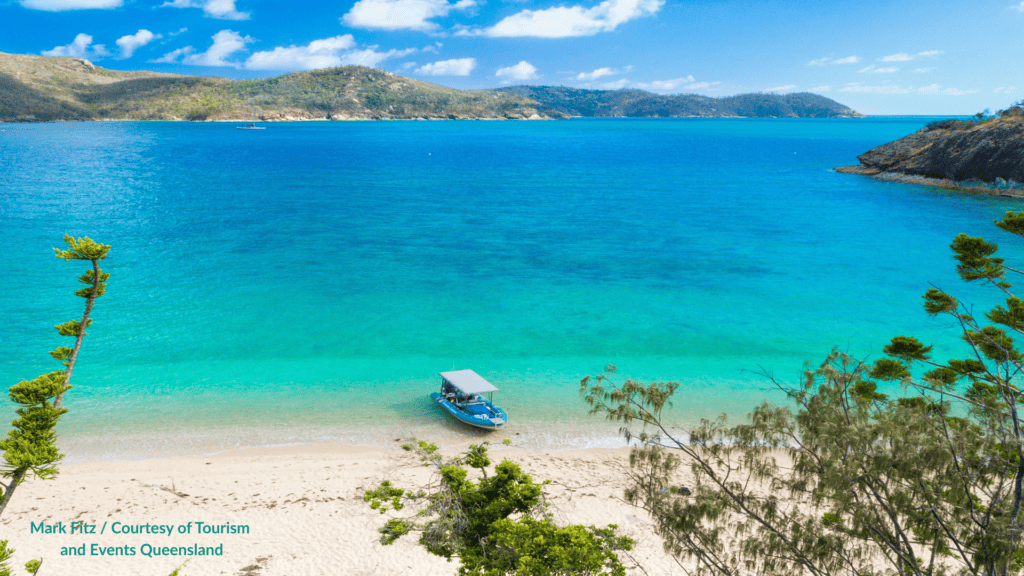 Hook Island beach in the Whitsundays Queensland with white sand, she-oak trees, a small tour boat in the turquoise shallows and forested hills across the bay