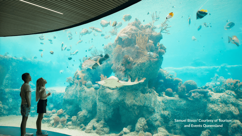 Children viewing fish and a ray at the Daydream Island Underwater Observatory Queensland