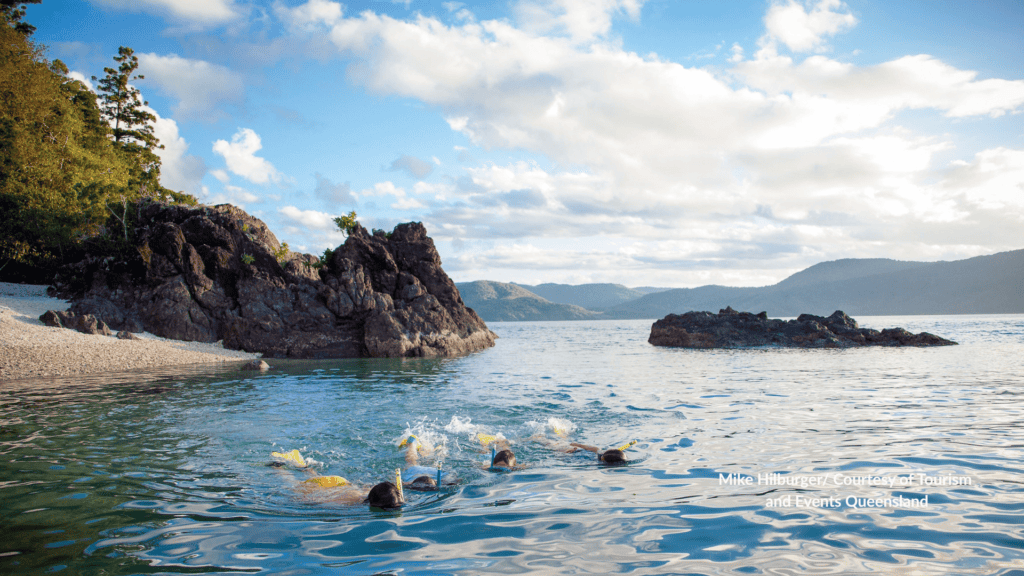 Snorkellers in the water at Daydream Island Whitsundays Queensland
