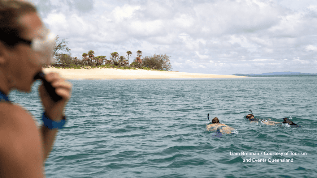 Snorkelling off Pumpkin Island in Queensland with the beach in the background